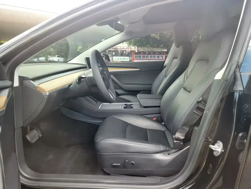 Tesla Model 3 2021 из CN, фото 4