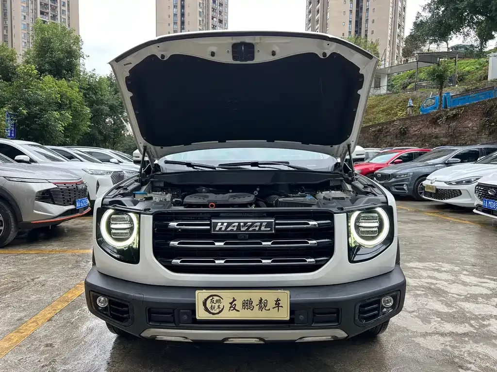 Haval Big Dog 2022 из CN, фото 4