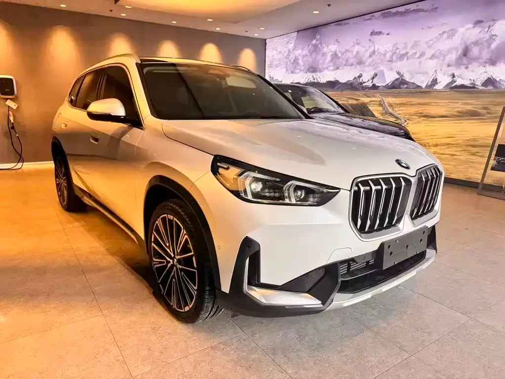 BMW X1 2024 из CN, фото 10