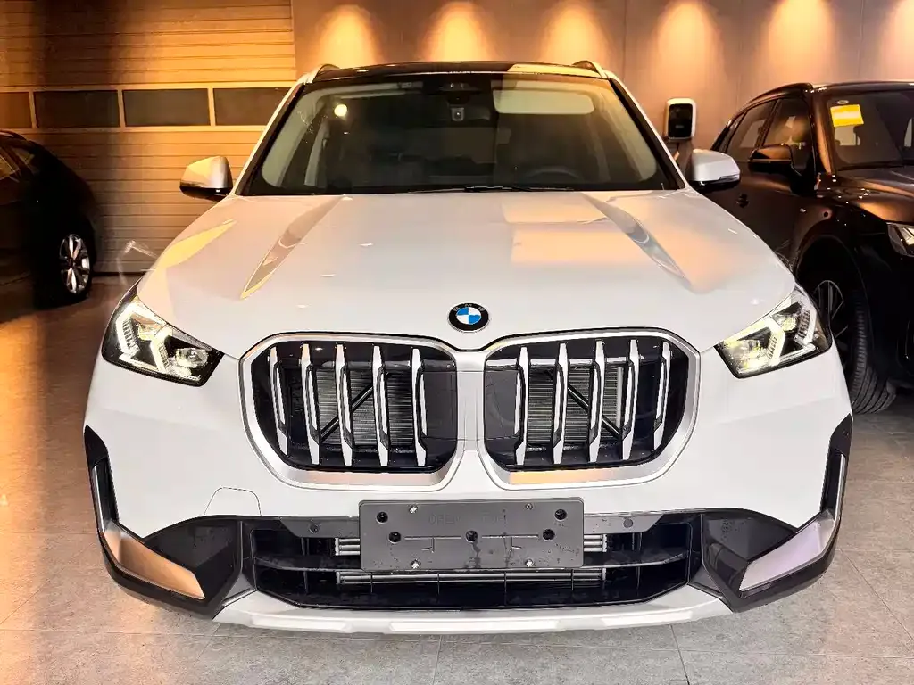 BMW X1 2024 из CN, фото 9