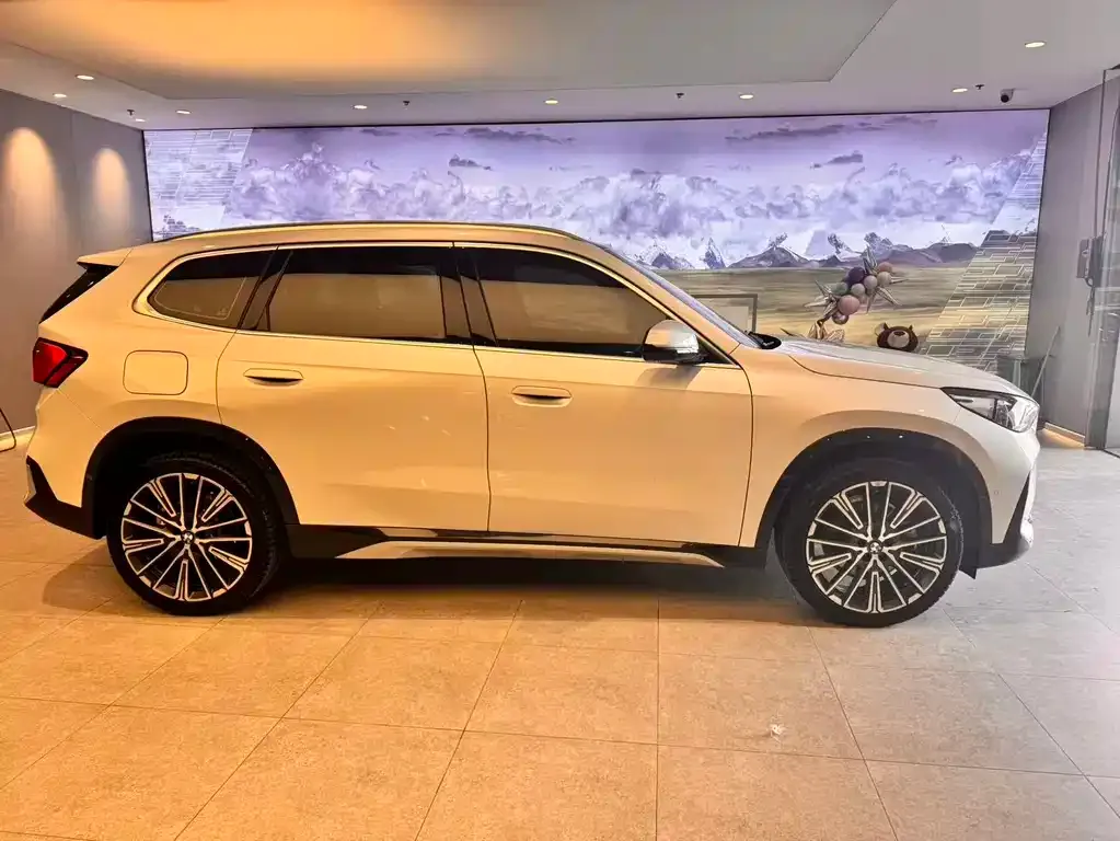 BMW X1 2024 из CN, фото 7