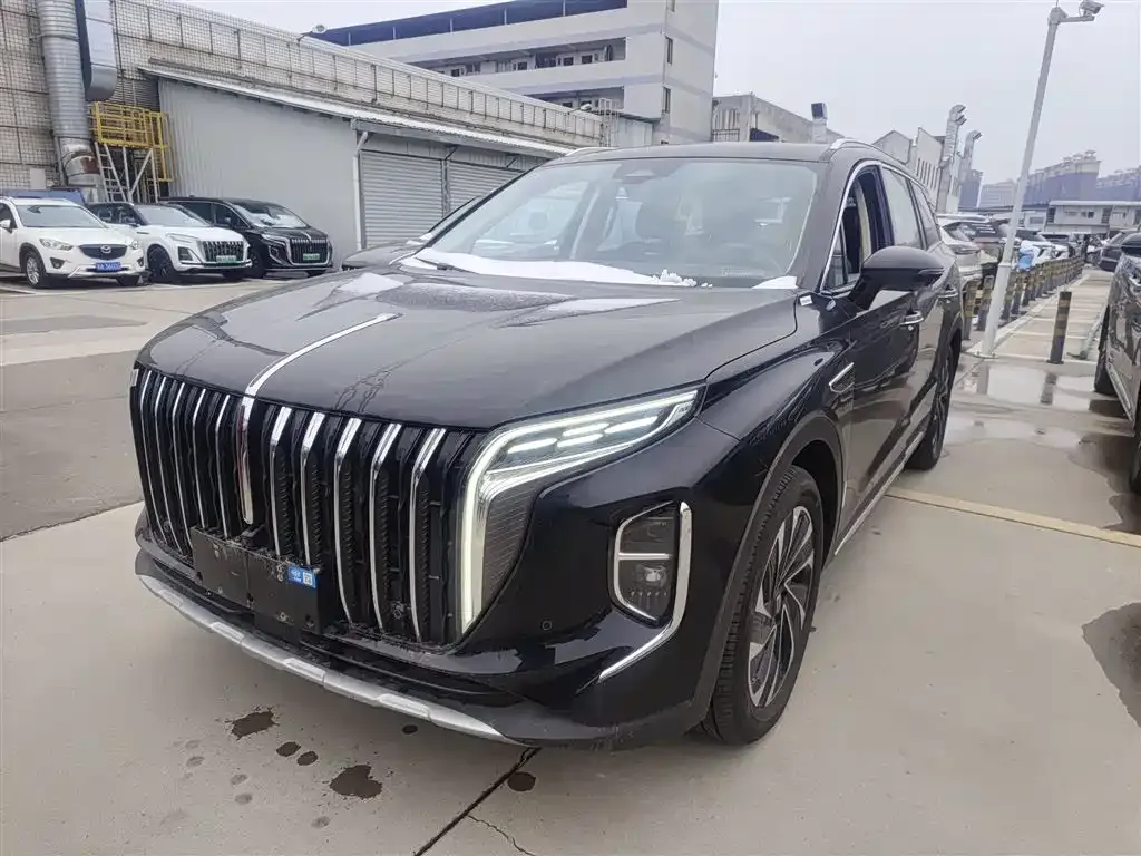 Hongqi HS7 PHEV 2024 из CN, фото 1
