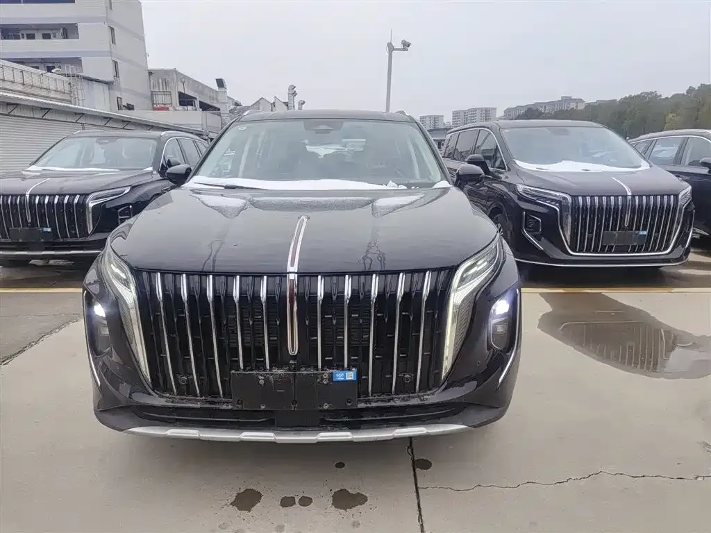Hongqi HS7 PHEV 2024 из CN, фото 4