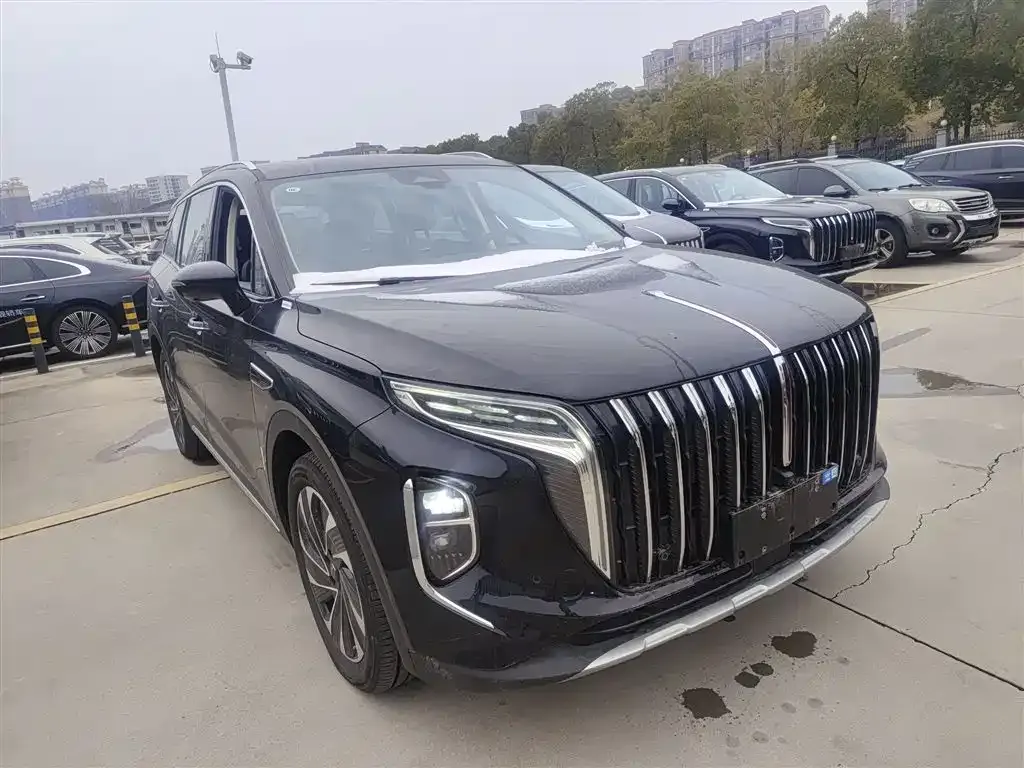Hongqi HS7 PHEV 2024 из CN, фото 5