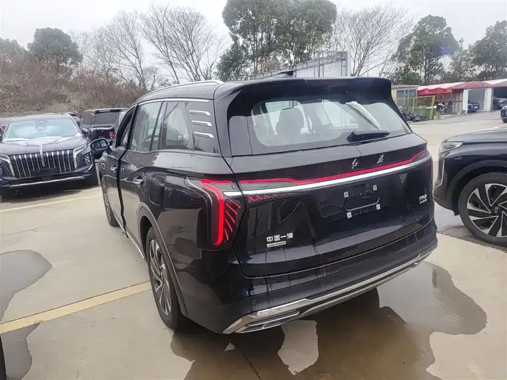 Hongqi HS7 PHEV 2024 из CN, фото 8