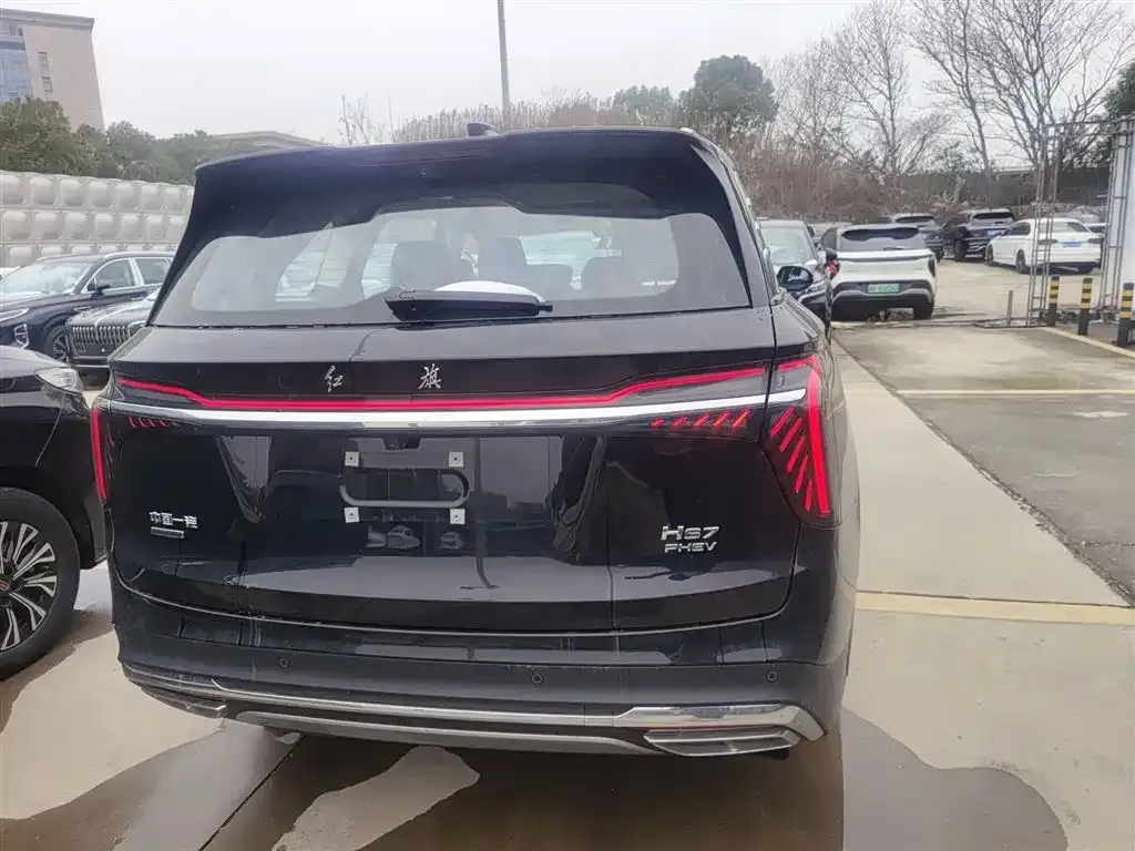 Hongqi HS7 PHEV 2024 из CN, фото 3