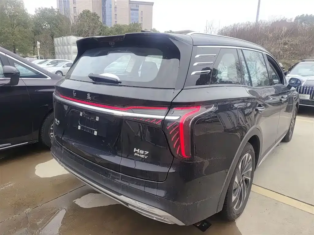 Hongqi HS7 PHEV 2024 из CN, фото 7