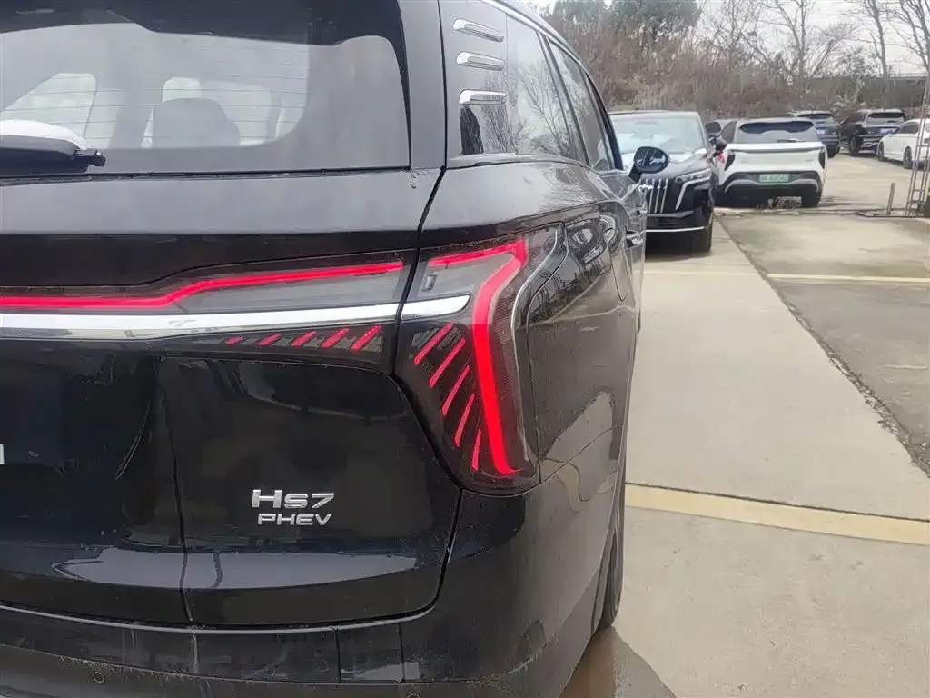 Hongqi HS7 PHEV 2024 из CN, фото 10