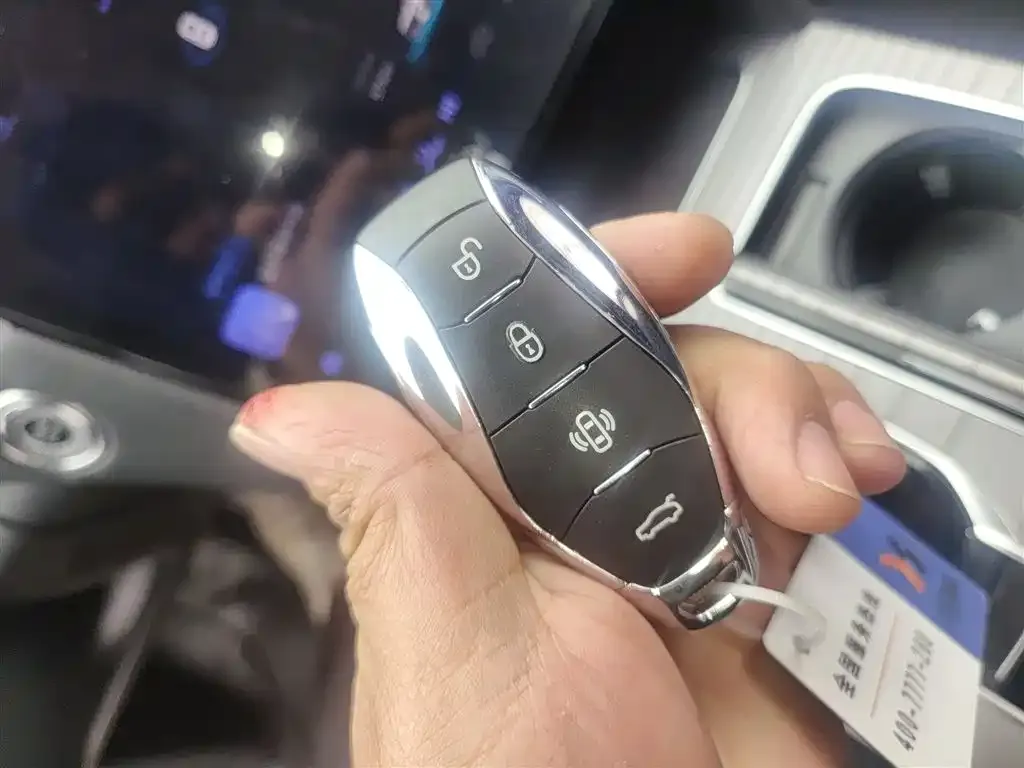 Hongqi HS7 PHEV 2024 из CN, фото 2