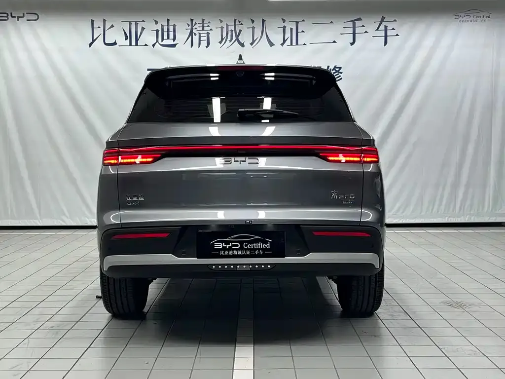 BYD Pro New Energy — фото 6