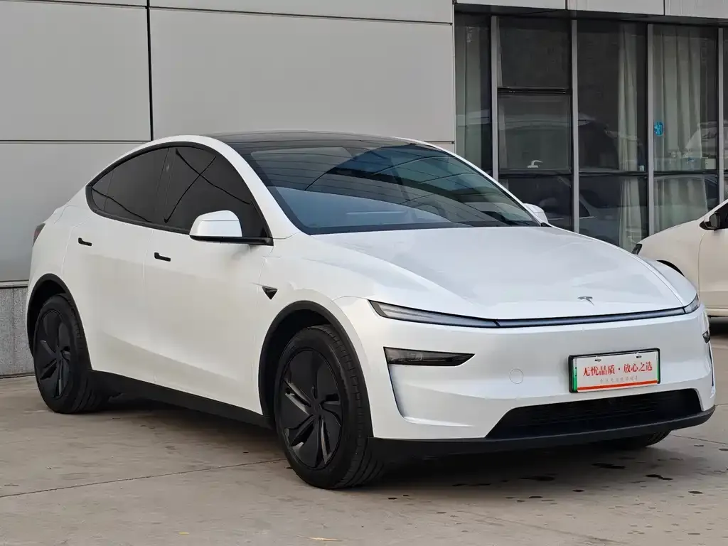 Tesla Model Y — фото 9