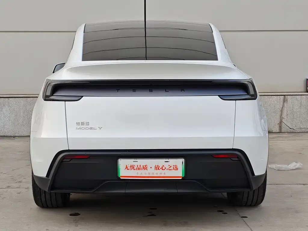 Tesla Model Y — фото 2