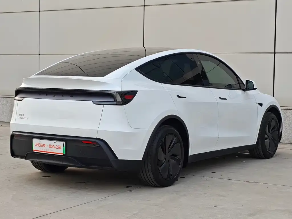 Tesla Model Y — фото 8
