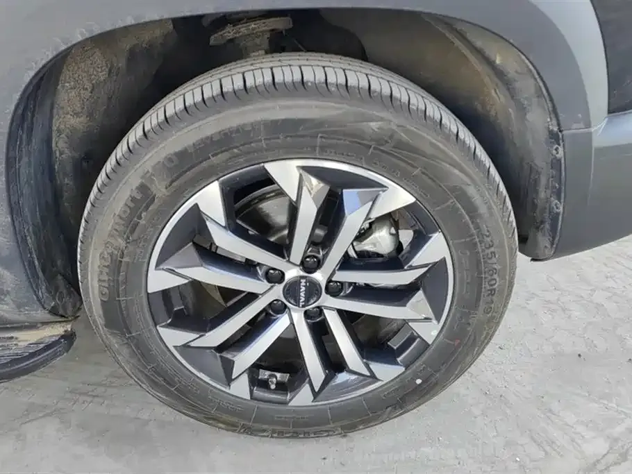 Haval Big Dog — фото 10