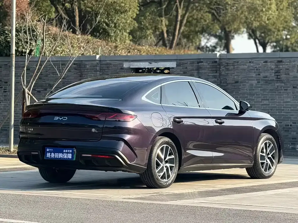 BYD Qin L 2025 из CN, фото 4