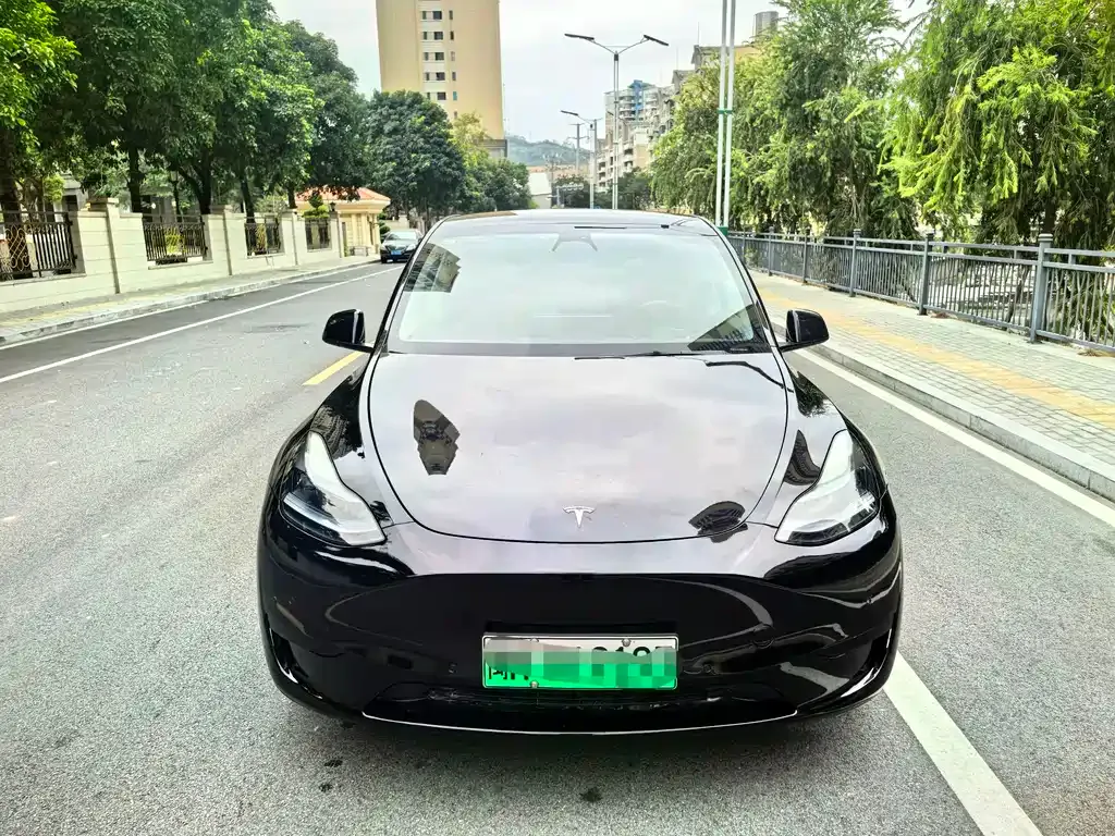 Tesla Model Y — фото 4
