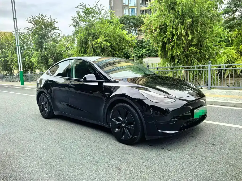 Tesla Model Y — фото 2