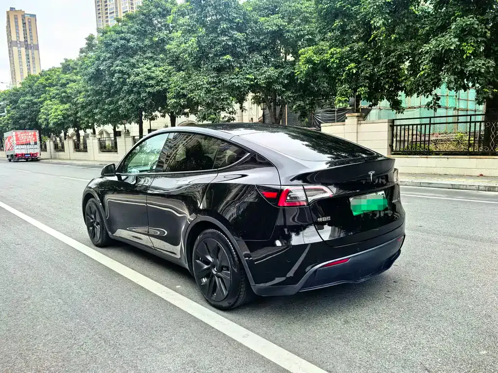 Tesla Model Y — фото 6