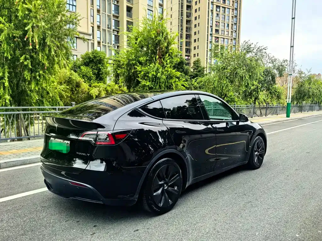 Tesla Model Y — фото 9