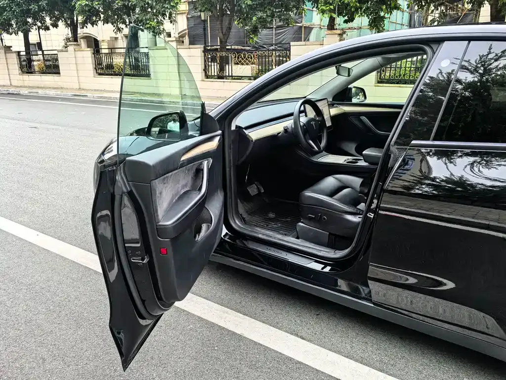 Tesla Model Y — фото 10