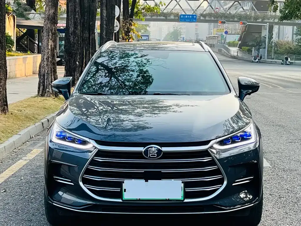 BYD Tang New Energy 2023 из CN, фото 5