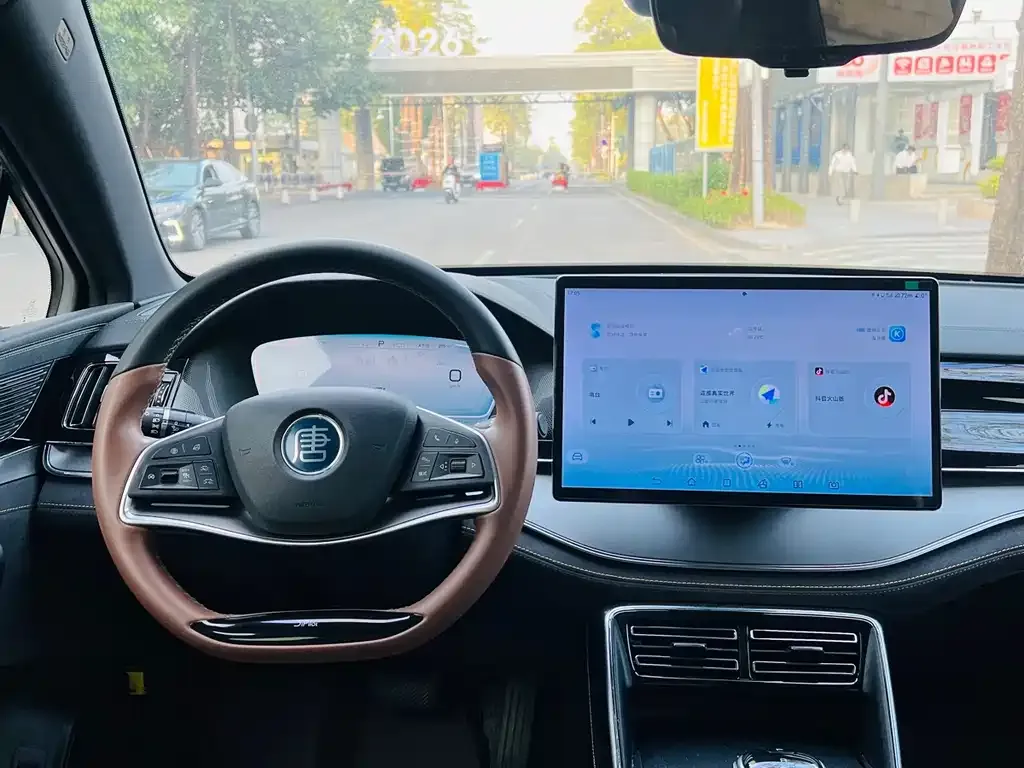 BYD Tang New Energy 2023 из CN, фото 2