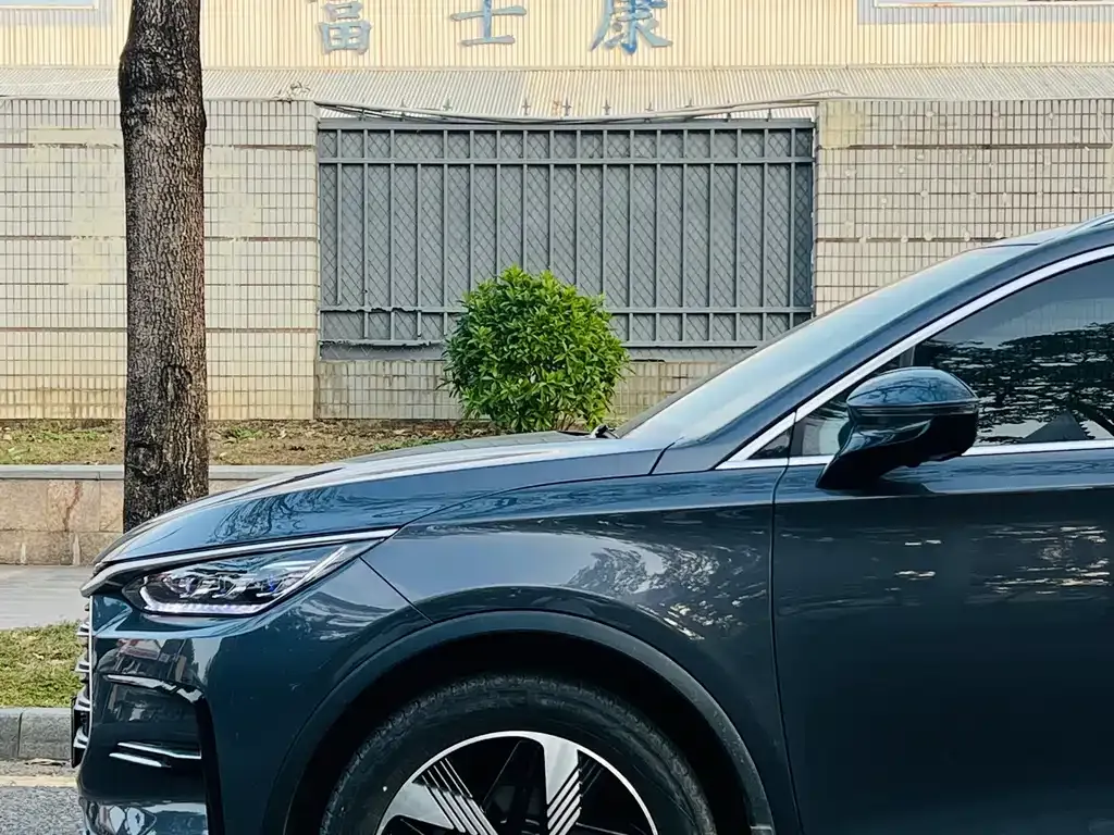 BYD Tang New Energy 2023 из CN, фото 6