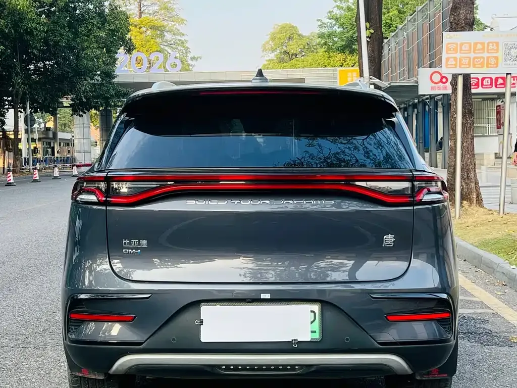 BYD Tang New Energy 2023 из CN, фото 7