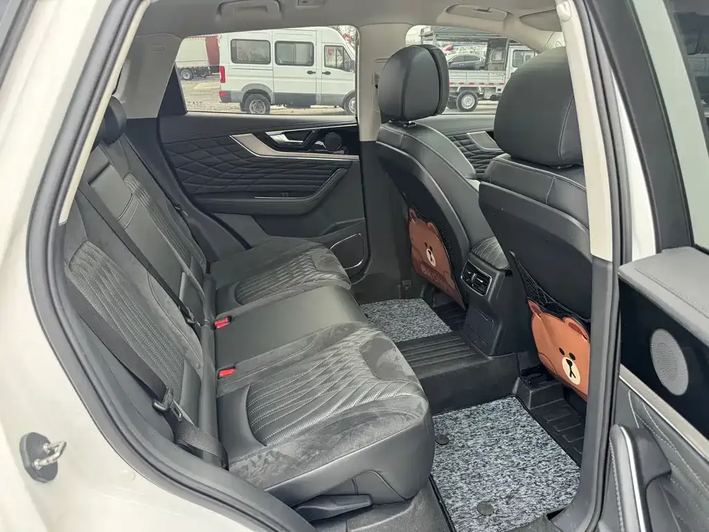 Hongqi HS5 2023 из CN, фото 9