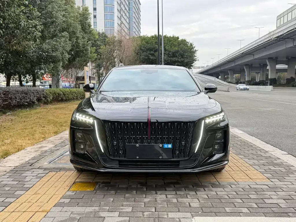 Hongqi H5 2025 из CN, фото 6