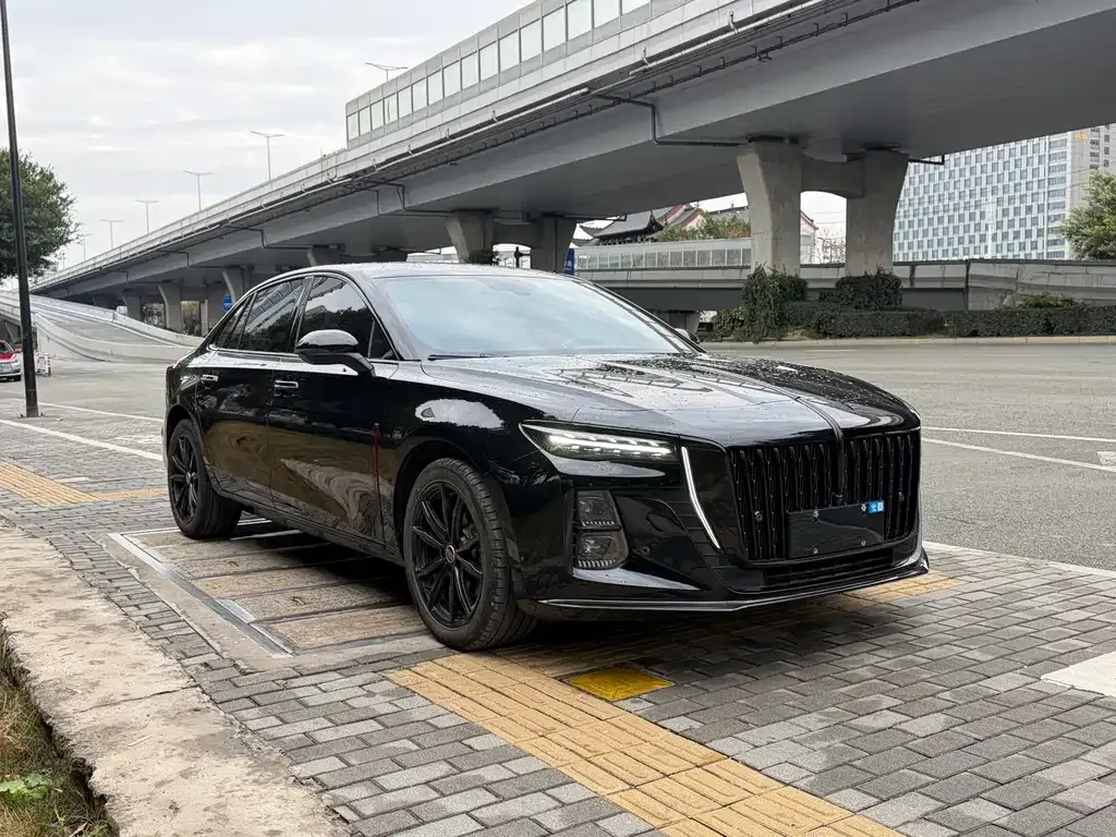 Hongqi H5 2025 из CN, фото 3