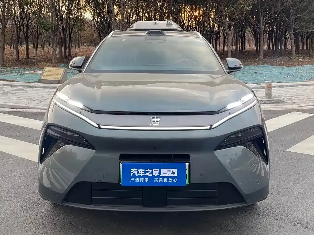 BYD Tang L 2025 из CN, фото 3
