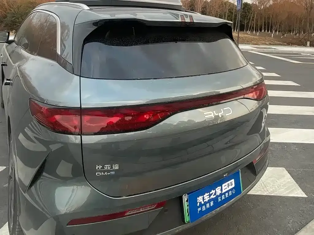 BYD Tang L 2025 из CN, фото 6