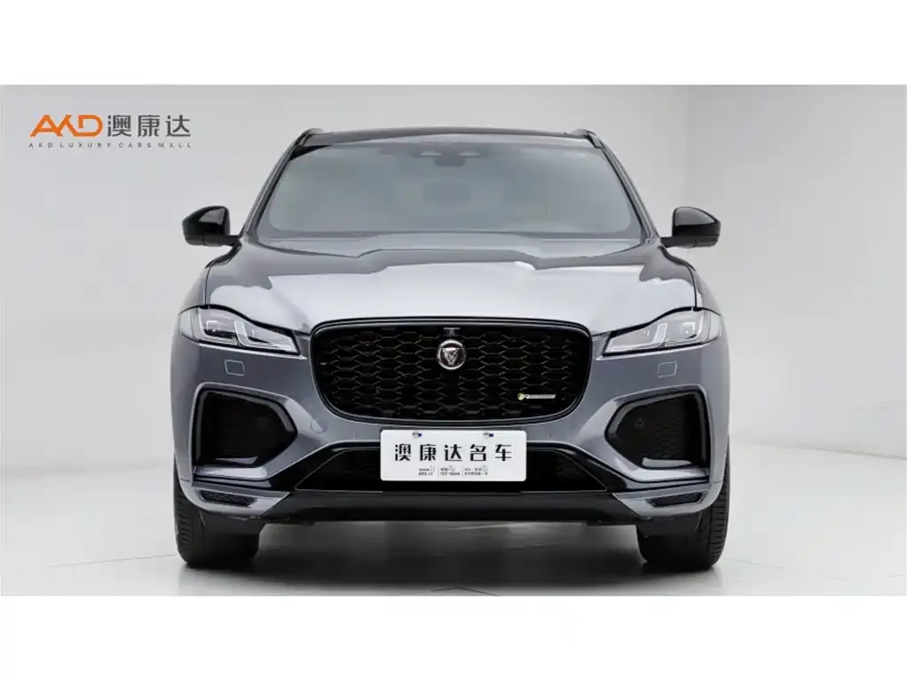 Jaguar F-PACE 2023 из CN, фото 7