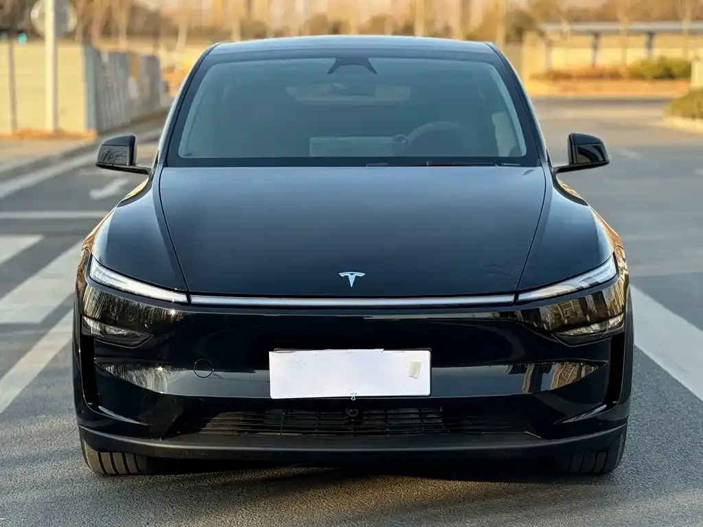 Tesla Model Y — фото 5