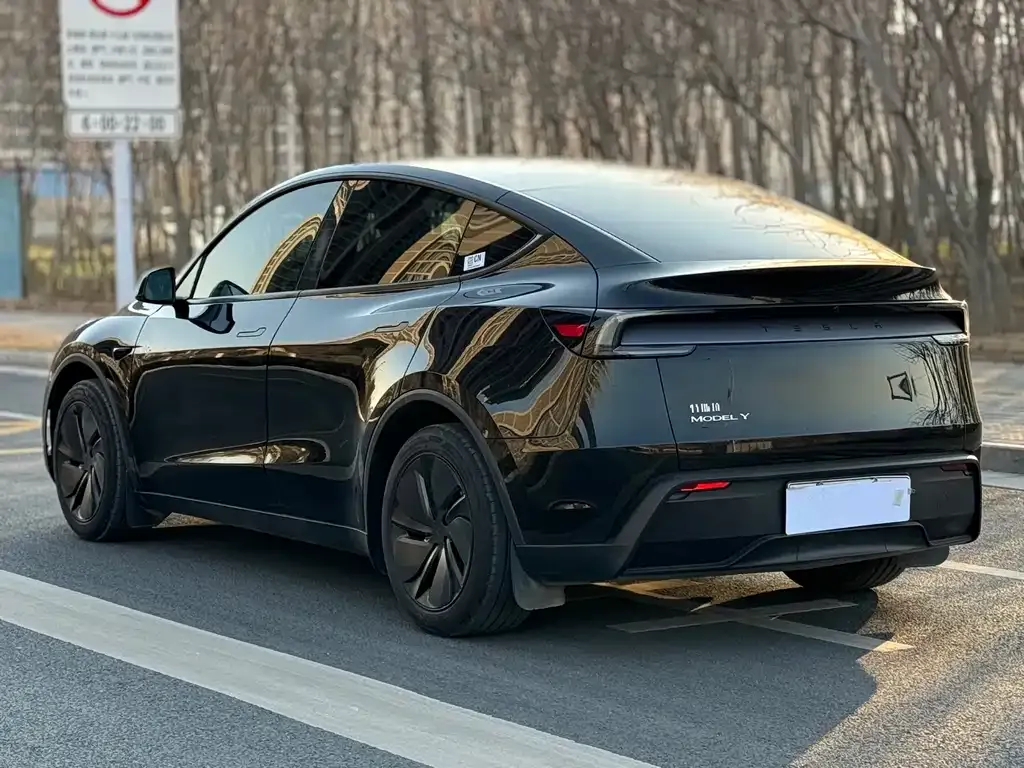 Tesla Model Y — фото 9
