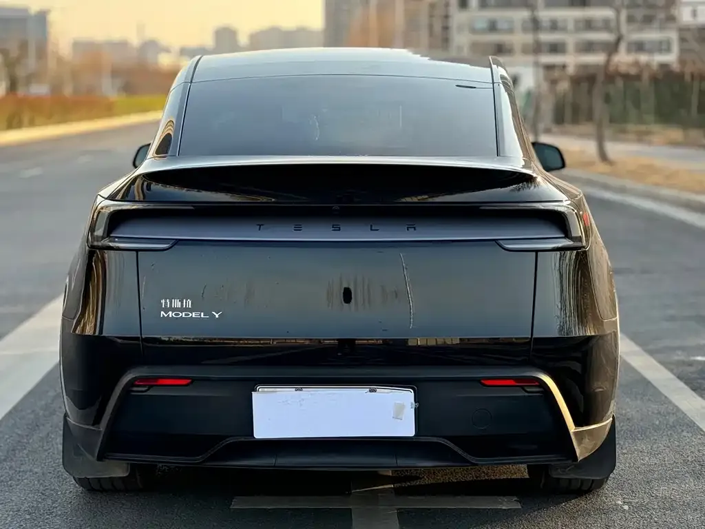 Tesla Model Y — фото 8