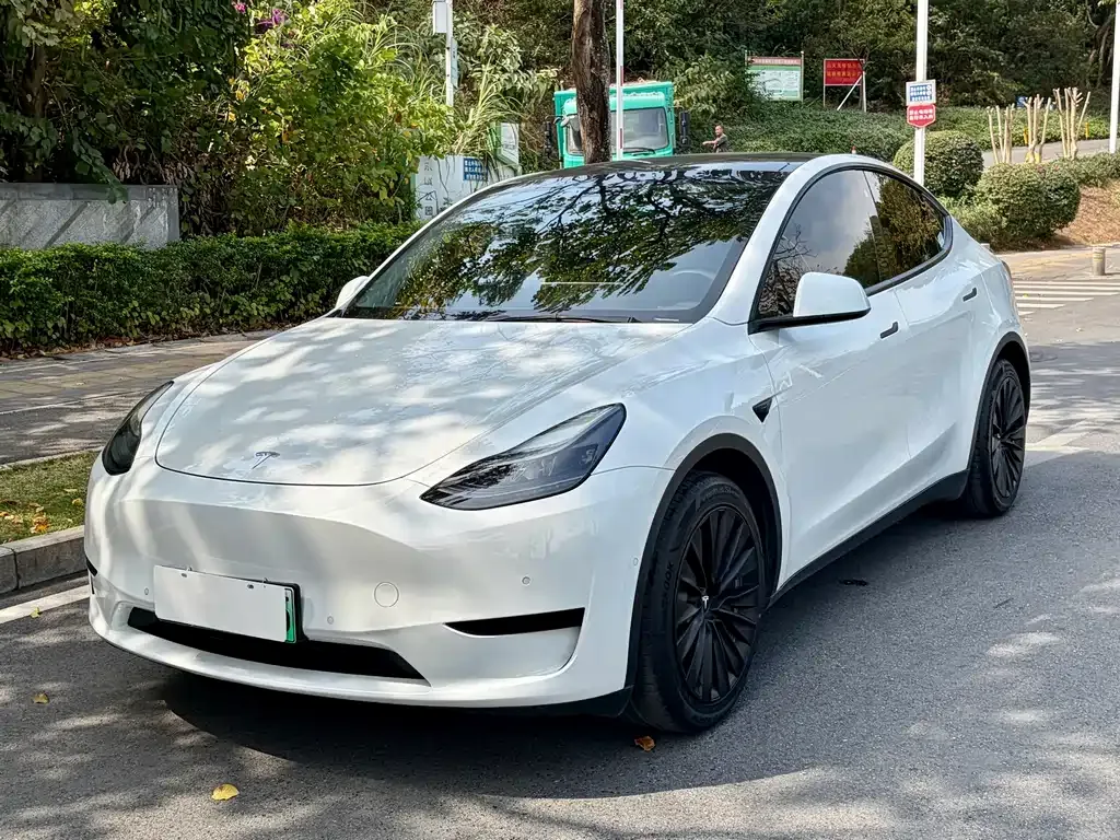 Tesla Model Y — фото 1