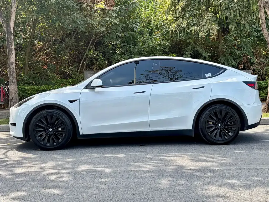 Tesla Model Y — фото 7