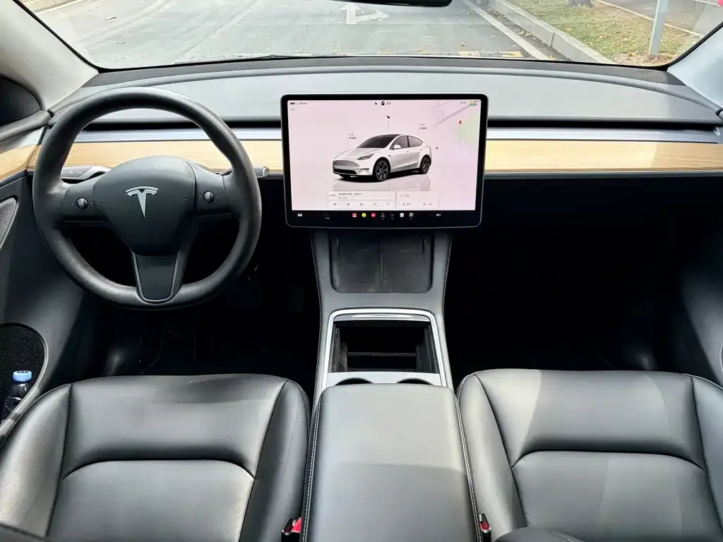 Tesla Model Y — фото 2