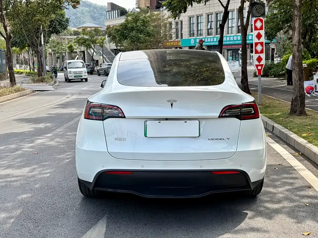 Tesla Model Y — фото 8