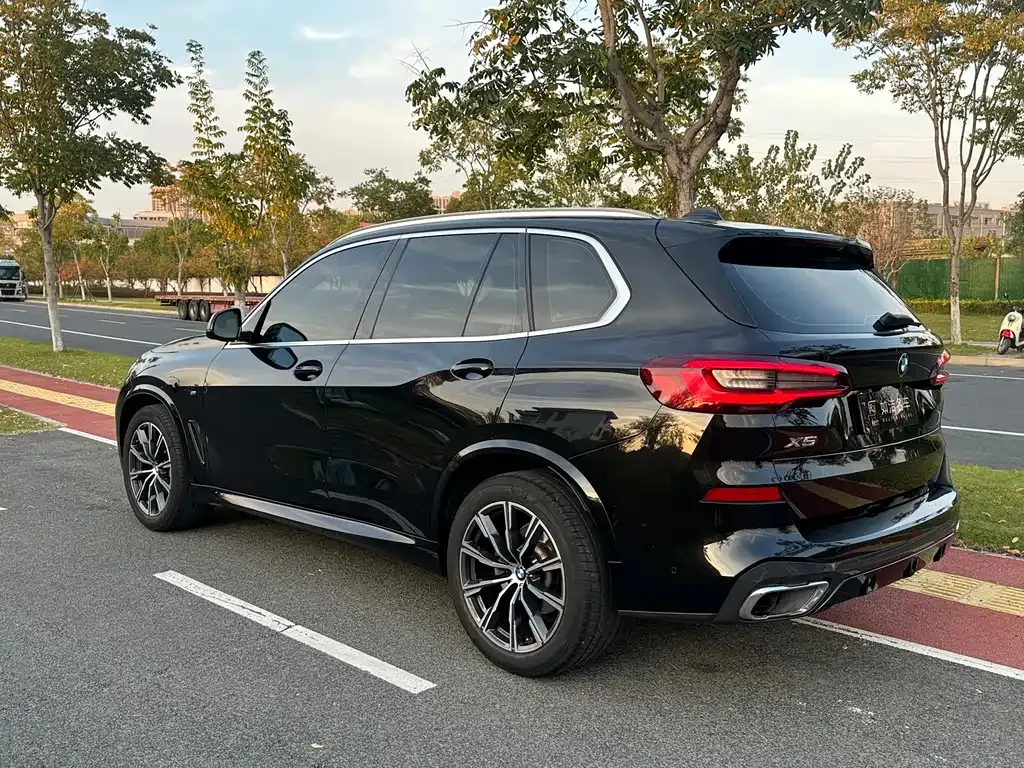 BMW X5 (Import) 2021 из CN, фото 4