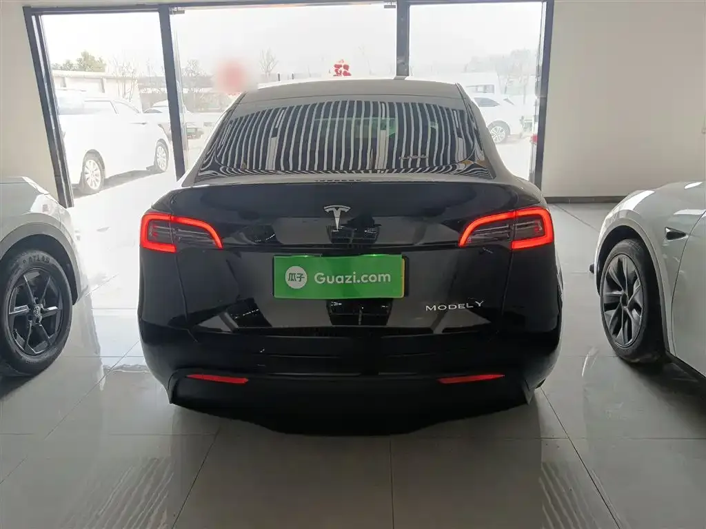 Tesla Model Y 2022 из CN, фото 4