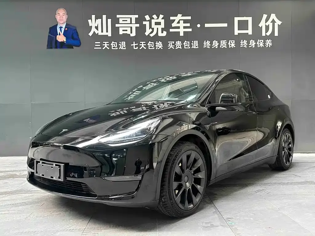 Tesla Model Y 2021 из CN, фото 1