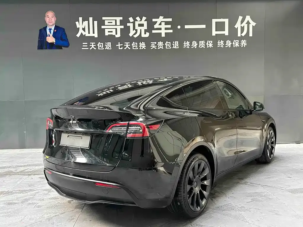 Tesla Model Y 2021 из CN, фото 8