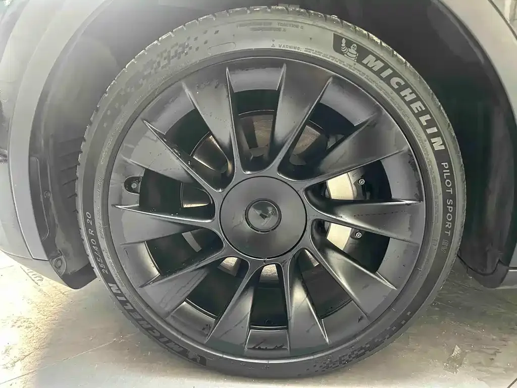 Tesla Model Y 2021 из CN, фото 5