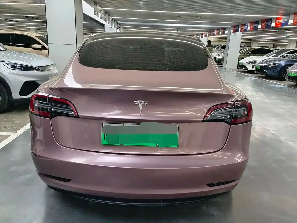 Tesla Model 3 2021 из CN, фото 3