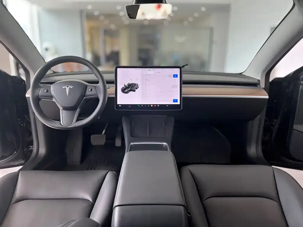 Tesla Model 3 2021 из CN, фото 5