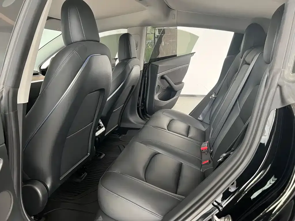 Tesla Model 3 2021 из CN, фото 2
