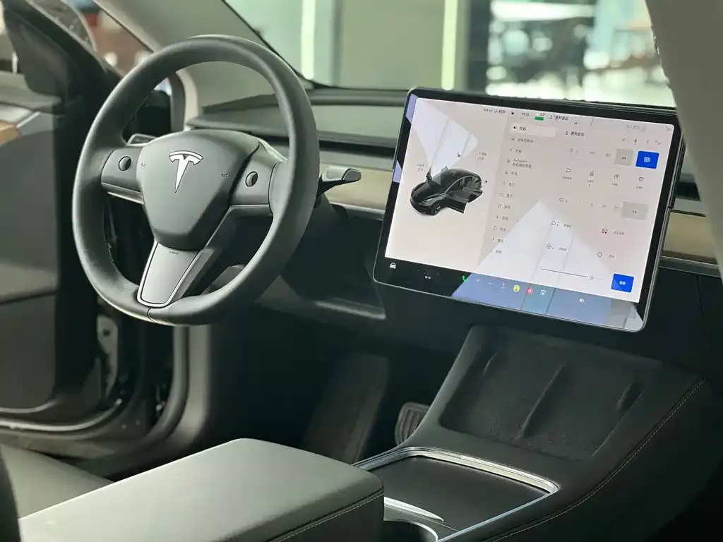 Tesla Model 3 2021 из CN, фото 10